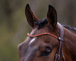 Naczółek QHP Eldorado