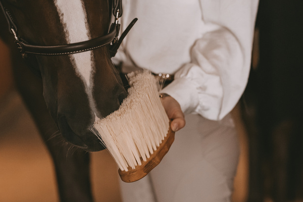Szczotka z extra długim włosiem Grooming Deluxe Middle Brush Long