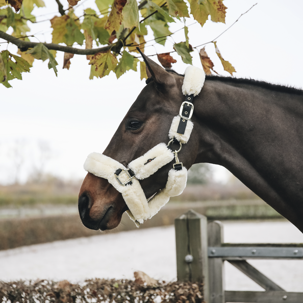 Kantar obszyty w całości syntetycznym futrem Kentucky Horsewear Sheepskin Shipping