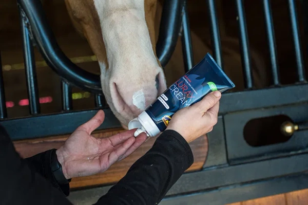 Balsam na rany i otarcia Cavalor Lurax Cream