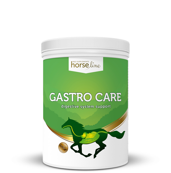 Suplement wspierający układ pokarmowy HorseLine GastroCare