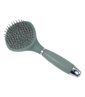 zielony