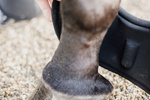 Kaloszki Kentucky Horsewear Heel Protection