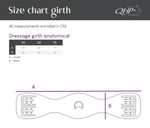 Popręg ujeżdżeniowy QHP Anatomical