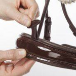 Ogłowie ze szwedzkim nachrapnikiem Kavalkade Florina