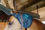 Nakładka magnetyczna na potylicę Kentucky Horsewear Recuptex