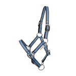 Kantar Kavalkade Shetty 