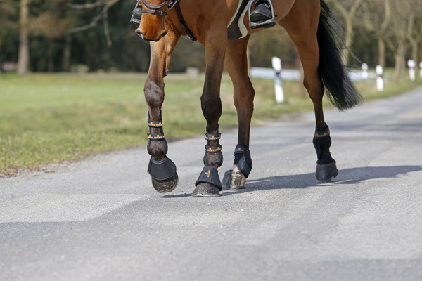 Kaloszki ze sztucznej skóry PVC Kentucky Horsewear