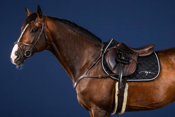 Napierśnik z mostkiem Dy'on US Collection US06B