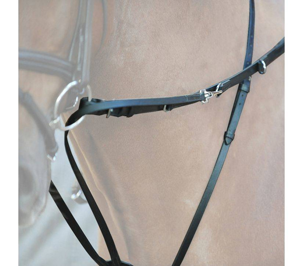 Wodze Thiedemanna Kavalkade