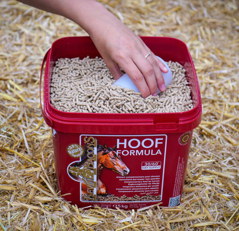 Suplement dla koni na zdrowe kopyta, sierść i ogólną kondycję KEVIN BACON'S Hoof Formula