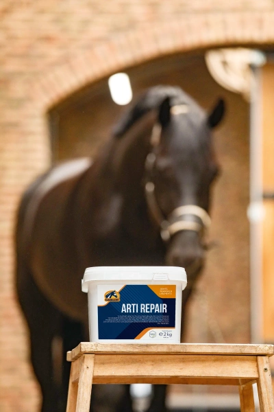 Suplement wspierający regenerację stawów, ścięgien i kości Cavalor Arti Repair