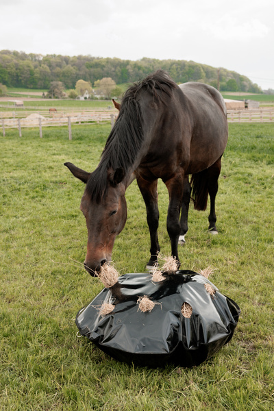 Torba na siano do boksu i na padok Grooming Deluxe Play & Haybag Slow Feeder Round