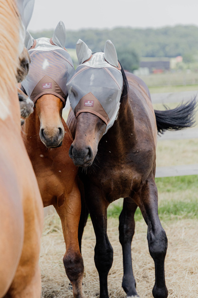 Maska przeciw owadom z uszami Kentucky Horsewear Classic