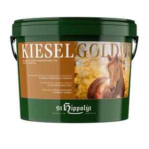 Krzem St. Hippolyt KieselGOLD 4 kg