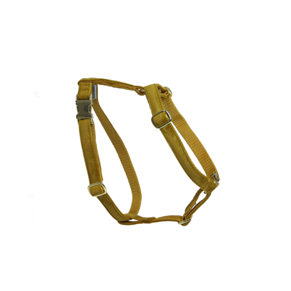 Szelki dla psa Kentucky Dogwear Loop Velvet