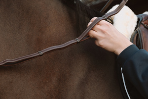 Wodze skórzane Dy'on Working Collection WO051