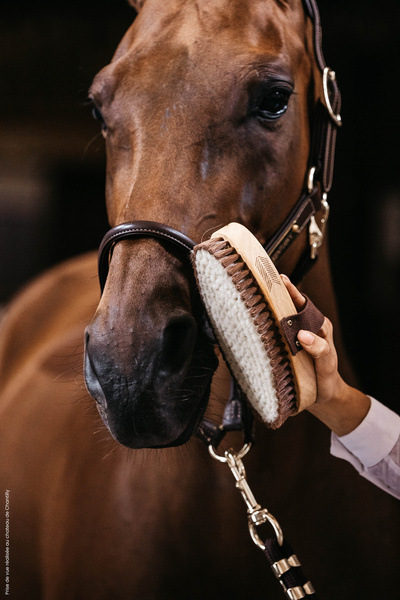 Szczotka do sierści Grooming Deluxe Overall Soft