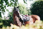 Czaprak wszechstronny Kentucky Horsewear Pearls