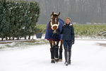 Kaloszki z futrem Kentucky Horsewear Sheepskin Solimbra