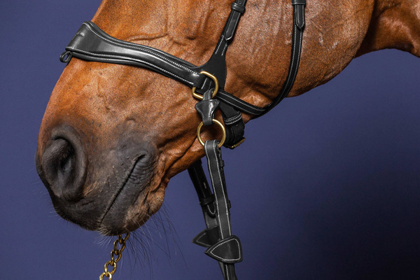 Nachrapnik anatomiczny do ogłowia bezwędzidłowego Dy'on D Collection D MOTION DY04W