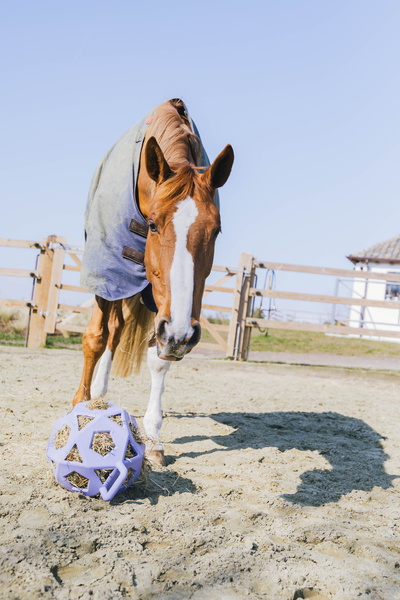 Piłka na siano dla konia Kentucky Horsewear Relax Horse Play & Hay Ball