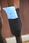 Skarpeta chroniąca przed obtarciami, zabrudzeniami i infekcjami Kentucky Horsewear Tendon Grip Sock