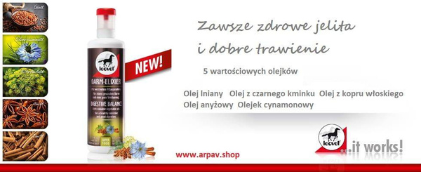 Syrop wspomagający układ pokarmowy LEOVET Darm Elixir