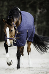 Derka stajenna Kentucky Horsewear - 0g