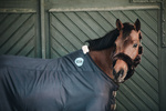 Derka magnetyczna Kentucky Horsewear Recuptex