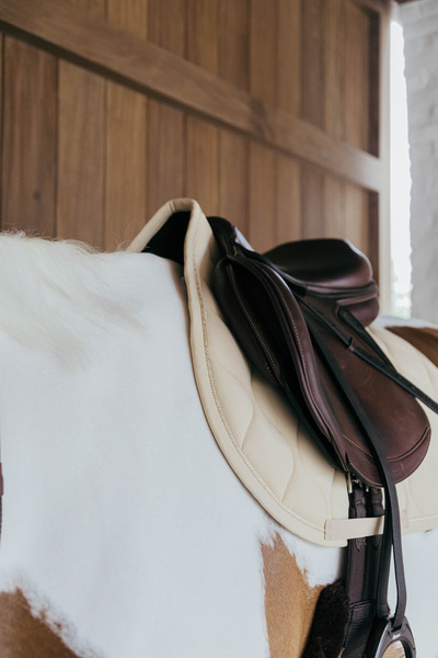 Czaprak wszechstronny Kentucky Horsewear Wave