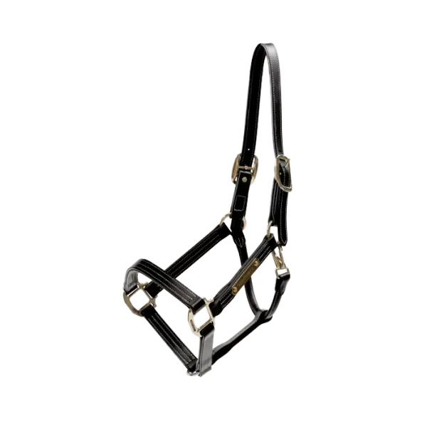 Kantar ze skóry syntetycznej Kentucky Horsewear Leather Halter Wellington