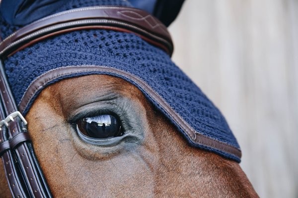 Nauszniki klasyczne Kentucky Horsewear Wellington Leather