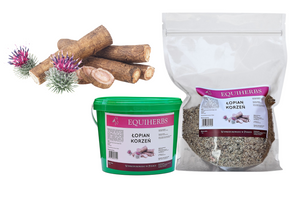 Korzeń łopianu EQUIHERBS
