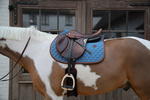 Czaprak wszechstronny Kentucky Horsewear Onion Quilt Neon Leather