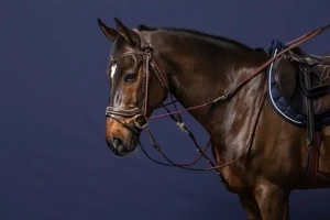 Gog nylonowy Dy'on Working Collection WO08D