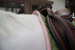 Czaprak  wszechstronny Kentucky Horsewear Softshell Onion Quilt