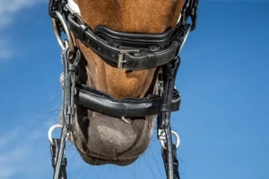 Osłonka skórzano-neoprenowa na łańcuszek Dy'on AB99M