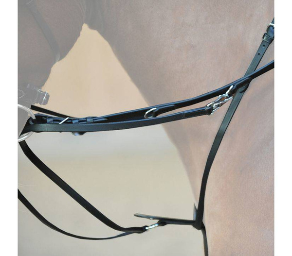 Wodze Thiedemanna Kavalkade