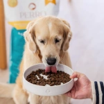 Karma sucha dla dorosłych psów średnich i dużych ras Perro - Kaczka z batatami 12kg