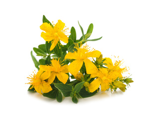 Dziurawiec EQUIHERBS