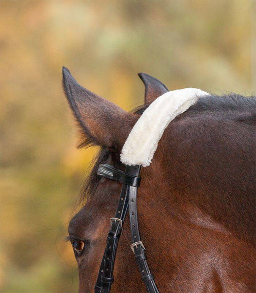 Futerko na nachrapnik lub potylicę Waldhausen