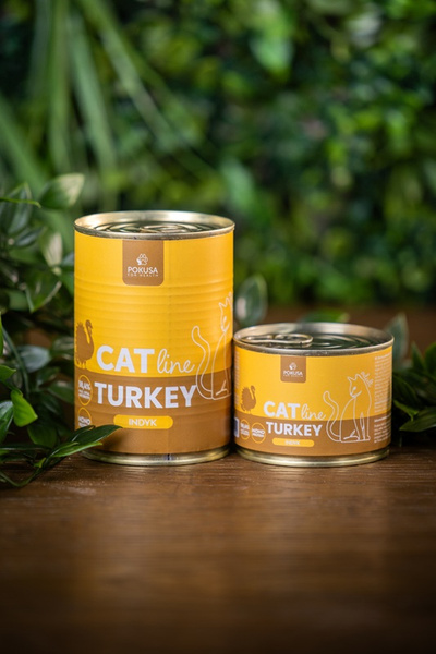 Karma mokra dla kotów dorosłych Pokusa for Health CatLine – indyk