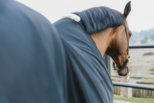 Derka siatkowa przeciw owadom Kentucky Horsewear Mesh Fly Sheet