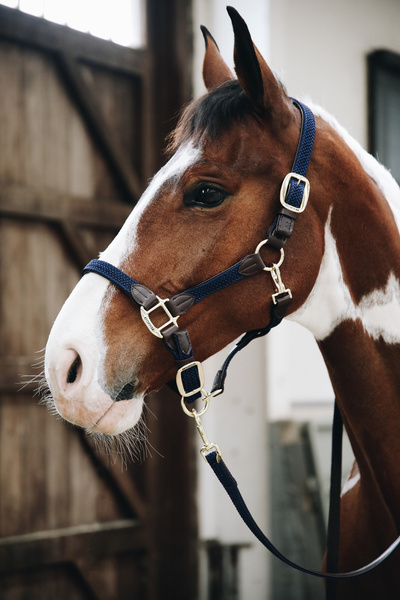 Kantar dla konia Kentucky Horsewear Plaited Nylon