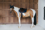 Czaprak skokowy Kentucky Horsewear Wave