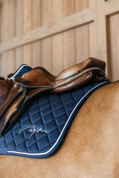 Czaprak skokowy Dy'on Diamond HO22K