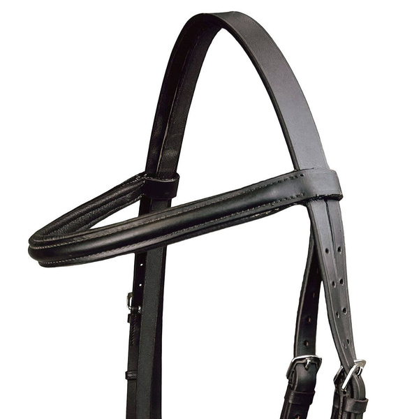 Ogłowie z nachrapnikiem kombinowanym York Frida