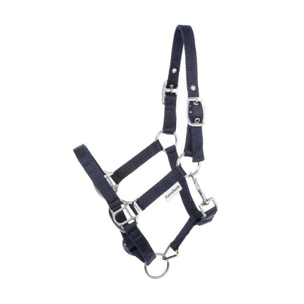 Kantar Kavalkade Shetty