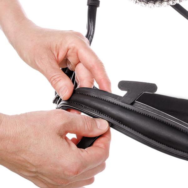 Ogłowie z nachrapnikiem kombinowanym Kavalkade Caliano